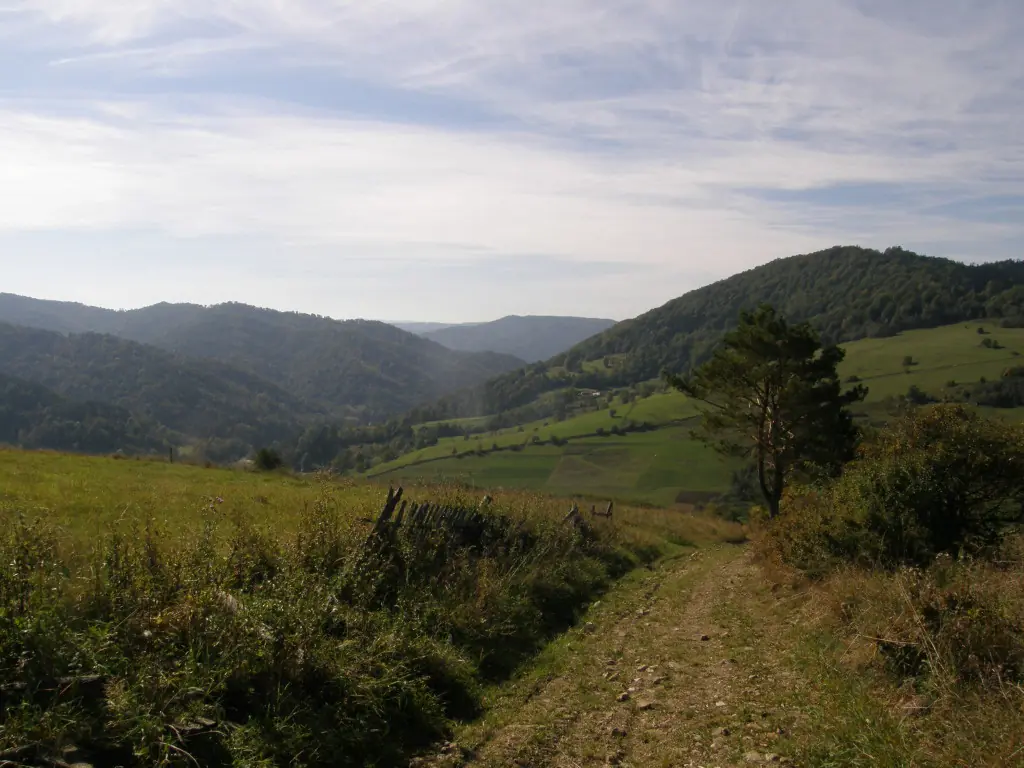 Okolica